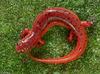 Salamanders - Eastern Mud Salamander (Pseudotriton m. montanus)