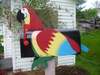 parrot mailboxes