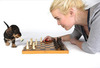 [Funny Animals] Chess Puppy