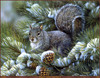 Panthera 0005 Rosemary Millette Gray Squirrel