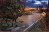 Panthera 0139 Ervin Molnar Deer Crossing