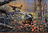 Panthera 0163 Don Kloetzke Autumn Ivy