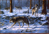 Panthera 0199 James Hautman Wolf Pack