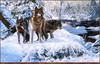 Panthera 0274 Richard Luce  Warriors of the North Woods