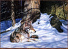 Panthera 0299 Chris Wozniak Shadowcrest