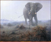 Panthera 0381 Daniel Smith Denizen of the Mist