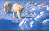 Panthera 0453 John Seerey-Lester Along the Ice Floe