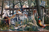 Panthera 0489 Ken Zylla Fieldstone and Pheasants