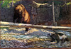 Panthera 0503 Don Rodell Showdown on Lava Creek