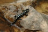 Asia Minor Salamander, Arouss Al Ayn - Salamandra infraimmaculata