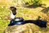 King cobra (Ophiophagus hannah)