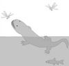 Giant Salamanders Strolled Onto Land Using Long Limbs [LiveScience 2012-10-01]