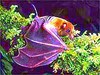 Fijian blossom bat (Notopteris macdonaldi)