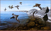 Panthera 0627 Ron Van Gilder Stony Point Bluebills
