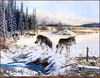 Panthera 0702 Robert J. Schmidt Beaver Dam Crossing
