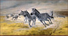 Panthera 0723 Charles Frace Zebras