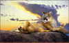 Panthera 0801 Nancy Glazier Cat Nap