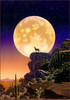 Panthera 0844 Schim Schimmel Desert Moon Song