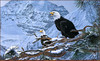 Panthera 0873 Ron S. Parker Eagles in the Pine