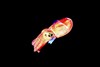 Stubby squid (Rossia pacifica)