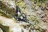 Purple-spotted swallowtail (Graphium weiskei)