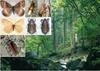 멸종위기 야생 동·식물 Ⅰ급《곤충류》: 목록