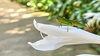 옥잠화 꽃의 검은다리실베짱이 Phaneroptera nigroantennata