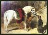 [Animal Art] Domestic Horse (Equus caballus)  - white horse and dogs