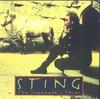 [Sting's Album Jacket] Domestic Horse (Equus caballus)