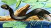 [Animal Art] Cottonmouth snake (Agkistrodon piscivorus)