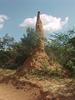 Ant Hill - Northern Kenya