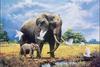 [Animal Art] African Elephants (Loxodonta africana) mother and calf