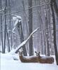 Deer  - Winter in Wisconsin