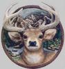 [Animal Art] Deer