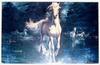 [Animal Art] White Horse