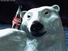 [Coke Ad] Polar Bear (Ursus maritimus)
