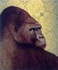 [Animal Art - Tom Palmore] Gorilla (Gorilla gorilla)