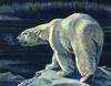[Animal Art] Polar Bear (Ursus maritimus)
