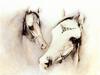 [Animal Art] Arabian Horse (Equus caballus)