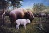 [Animal Art] American Bison cow and albino calf (Bison bison)