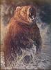 [Animal Art - Vivi K. Crandall] Brown Bear (Ursus arctos)
