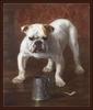 [Animal Art] Dog - Bulldog (Canis lupus familiaris)
