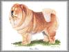 [Painting] Dog - Chowchow (Canis lupus familiaris)