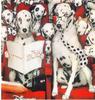 Dogs - Dalmatian puppies (Canis lupus familiaris)