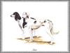 [Painting] Dogs - Sloughi/Saluki (Canis lupus familiaris)
