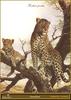[Animal Art - Carl Brenders] African Leopard mother and cub (Panthera pardus)