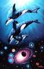 [Animal Art] Killer Whale family (Orcinus orca)