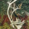 [Animal Art - Bev Doolitle] Caribou horn and Least Weasel