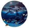 [Animal Art - Robert Wyland & Ray Gonzalez Tabora] Dolphin Moon, 1992