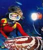 [Underwater Scuba Diving] Lady & Grouper
